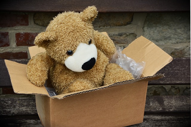 Choosing Between DIY and Professional Movers